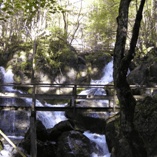 View album View album