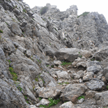 View album View album