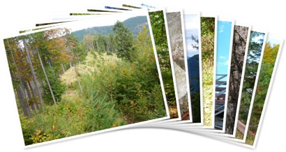 View album