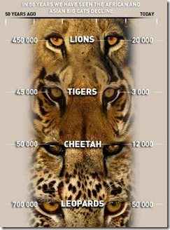 226286_3609814769975_401830495_n