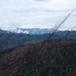View album