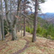 View album