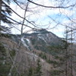 View album