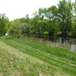 View album