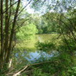 View album