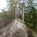 View album
