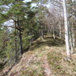 View album