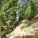View album