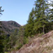 View album