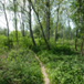 View album