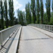 View album