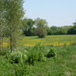 View album