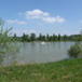 View album