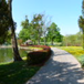 View album