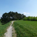 View album