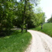 View album