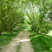 View album
