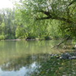 View album
