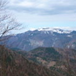 View album