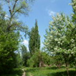 View album