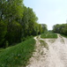 View album