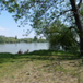 View album