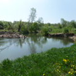 View album