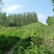 View album