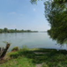 View album