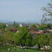 View album