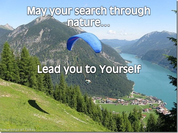 search_nature