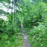 View album View album