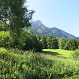 View album View album