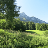 View album View album