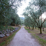 Album anzeigen Album anzeigen