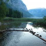 View album View album