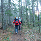 View album View album