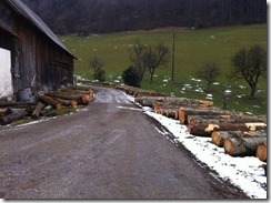 GutensteinerAlpenSnowless