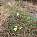 View album View album