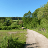 View album View album