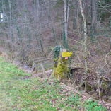 View album View album