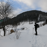 View album View album