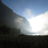 View album View album