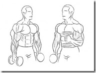 hammer-curls-for-serious-arm