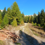 Album anzeigen Album anzeigen