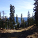 View album