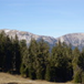 View album