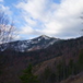 View album