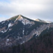 View album