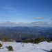 View album
